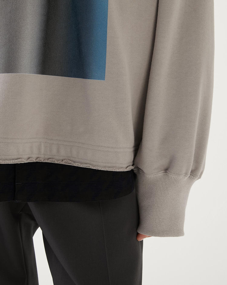 GRAPES BY THE WINDOW SLIT HOODIE GREY